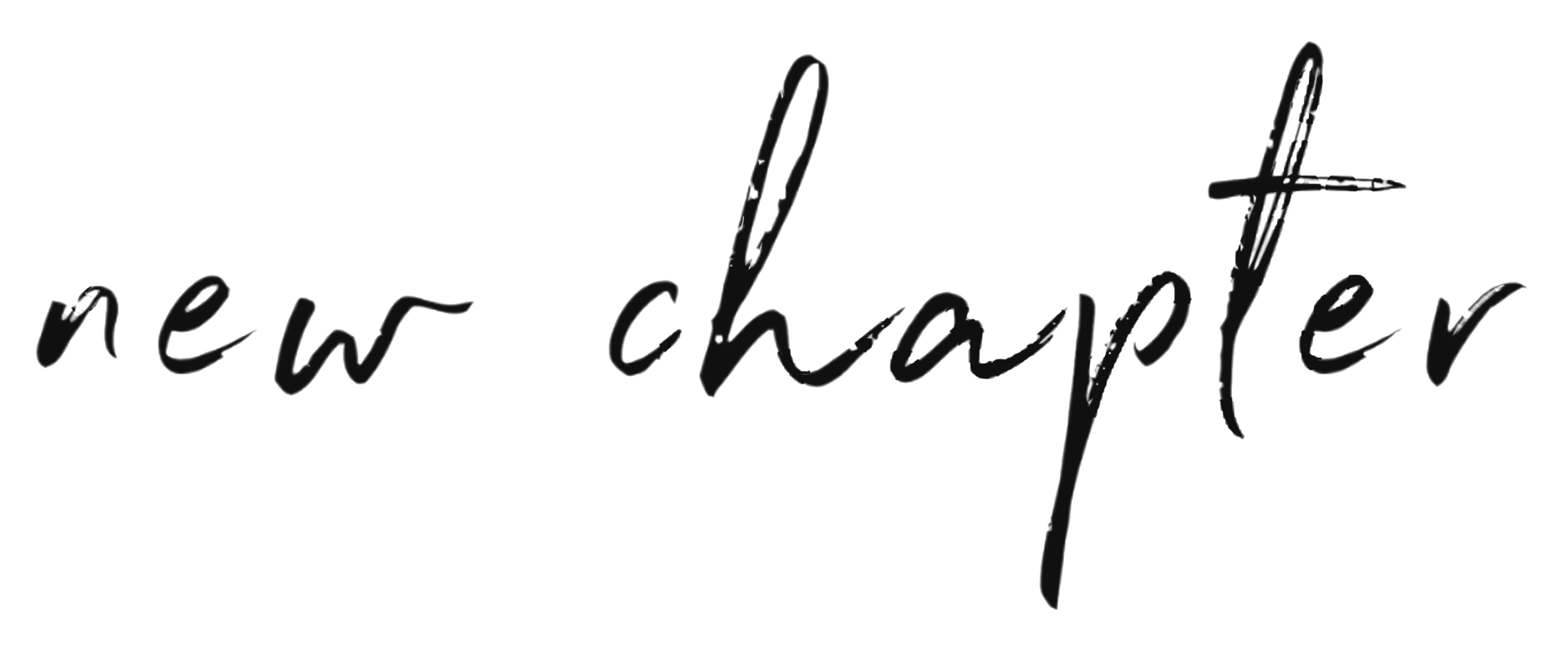 New Chapter Technology LLC logo